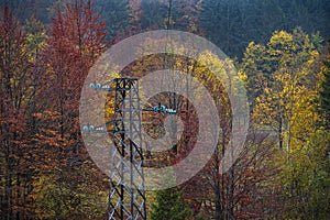 Electricity pylon inside the forest in autumn. Colorful foliage in the forest during fall.