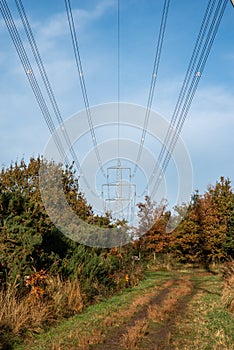 Electricity Pylon over trees and bushes