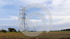 electricity pylon on a paddy field at a village