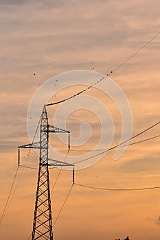 Electricity Pylon Pole