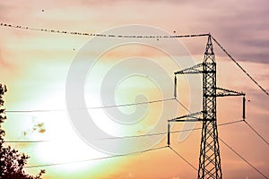 Electricity Pylon Pole