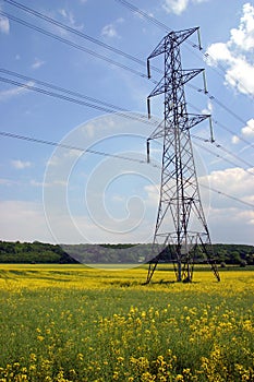 Electricity Pylon In Rapeseed Field