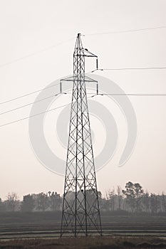 Electricity pylons