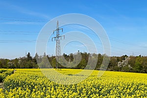 Electricity pylons in an blooming rapeseed field