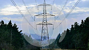 Electricity pylons in England, UK, running through forest. Taken straight on, perpendicular