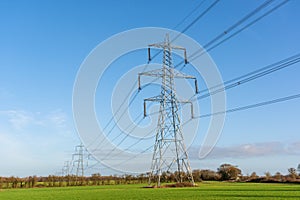 Electricity pylons in a field with blue sky.