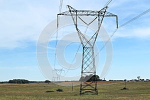 Electricity pylons in golden summer landscape. Electricity poles, Electricity posts. Energy