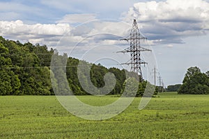 Electricity pylons in a green field surrounded by forest