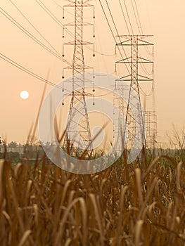 Electricity pylons and lines at sunset