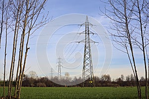 Electricity pylons and over head cables in the middle of a field framed by bare trees in the italian countryside