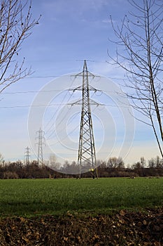Electricity pylons and over head cables in the middle of a field framed by bare trees in the italian countryside