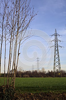 Electricity pylons and over head cables in the middle of a field framed by bare trees in the italian countryside