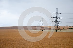 Electricity pylons, Oxfordshire Countryside, UK.