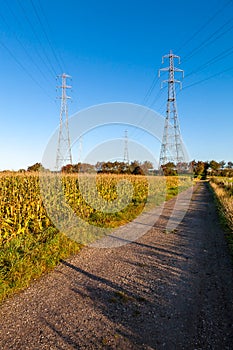 Electricity pylons in a rural setting photo
