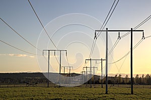 Electricity Pylons Trailing Away in Field