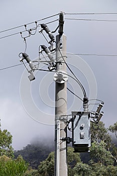 Electricity rural wooden utility pole with cables and insulators