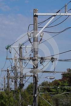 Electricity rural wooden utility poles with cables and insulators