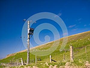 An electricity supply pylon delivering rural power through the UK national grid