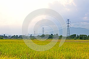 Electricity towers rice field with high voltage power pylons countryside