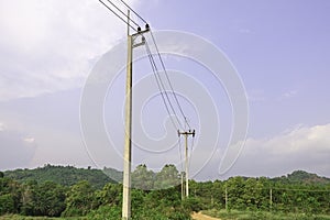 Electricity transmission line with green tree nature