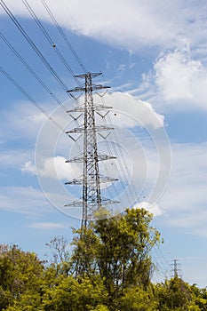 Electricity transmission pylon and branch photo