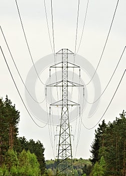 Electriclines photo