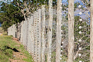 Electrified Fence Wiring Detail