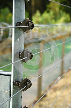 Electrified security fence and razor wire.