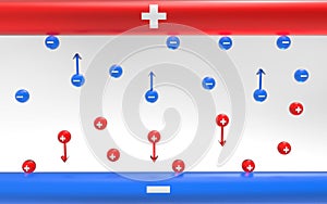 Electrolysis Process: Anode and Cathode Reactions