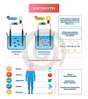 Electrolytes test vector illustration. Body fluid labeled diagram example. photo