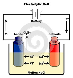 Electrolytic cell infographic diagram with components photo