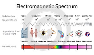 Electromagnetic Spectrum Diagram