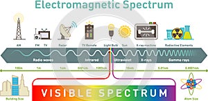 Electromagnetic spectrum infographic diagram, vector illustration