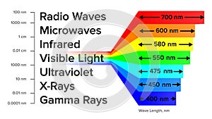 Electromagnetic Spectrum Information Gamma Rays Scheme Vector