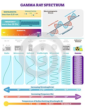 Electromagnetic Waves: Radioactive Gamma Rays Spectrum. Vector illustration diagram with wavelength, frequency and wave structure.