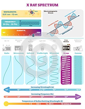 Electromagnetic Waves: X-ray Wave Spectrum. Vector illustration diagram with wavelength, frequency, harmfulness and wave structure