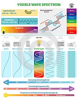 Electromagnetic Waves: Visible Wave Spectrum. Vector illustration diagram with wavelength, frequency and wave structure photo