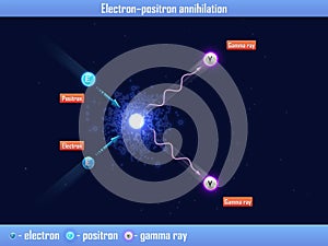 The electron â€“ positron annihilation