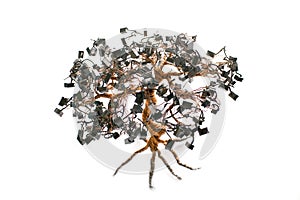 Electronic Bonsai Tree