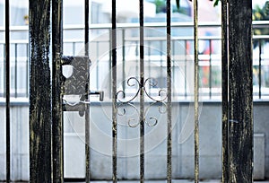 Electronic gate and metal fence