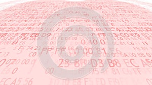 Electronic heart. Love and computer programming.