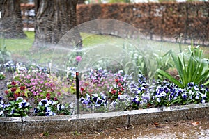 An electronic irrigation system waters the park's flowerbeds. photo