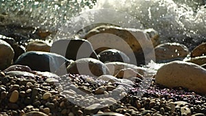 An electronic metal detector on the pebble beach. A man is looking for the luxuries lost by tourists in water and on the