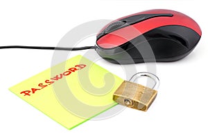 Electronic password.