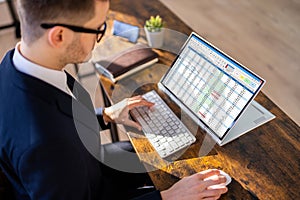 Electronic Spreadsheet Analyst Or Auditor Using Software