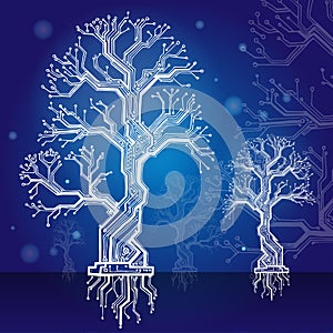 White forest. board - the scheme dark blue electronic structure