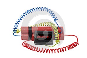Electronic time bomb