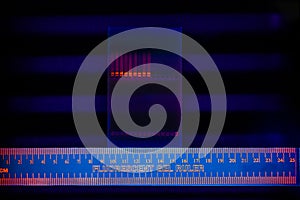 Electrophoregram of DNA separation