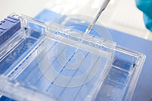 Electrophoresis