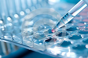 Electrophoresis of DNA fragments, Close-up, DNA molecules added to an agarose gel cell